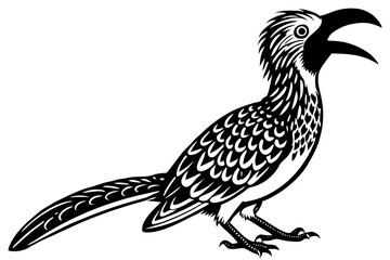 Fototapeta premium Redbilled hornbill, etosha nationalpark, namibia, tockus erychrorhynchus vector illustration