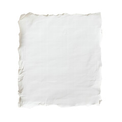 Obraz premium Textured blank paper with torn edges