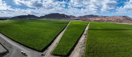 Aerial panoramic view of the Aussenkehr grape production area in southern Namibia. Rugged mountains...