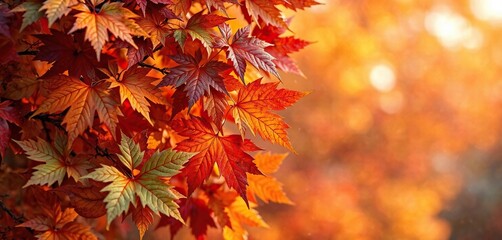 Vibrant colors of autumn leaves against a warm and cool-toned background, warm tones, fall landscape