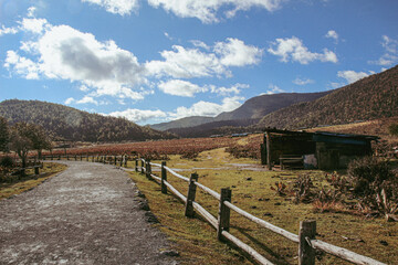 Fototapeta premium Shika Snow Mountains, Shika Mountain in autumn season at Shangri la, Yunnan, China. Shangri-la, Yunnan Shika Mountain in autumn season and prayer flag at Shangri la,