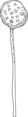 Line Art of Lotus Seed Pod on Stem.