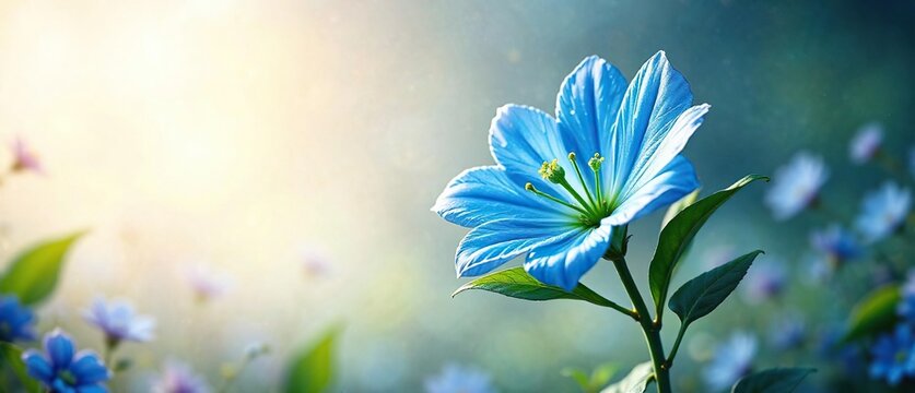 Uma abelha voa em torno de uma flor azul com estrelas brancas e verdes, flowers, star-shaped