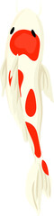 Naklejka premium Illustration of Orange and White Koi Fish.