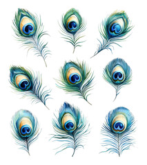Obraz premium Peacock Feathers Elegant Blue Green Watercolor Design Set