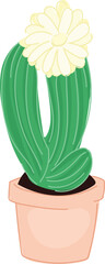 Illustration of a green cactus with a large white flower bloom.