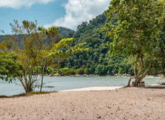 Pantai Kerachut beach Malaysia	