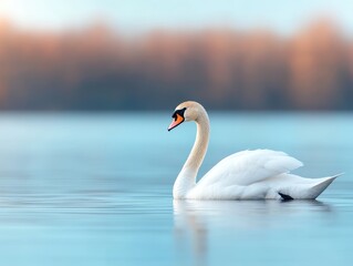 Fototapeta premium Serene Swan Gliding Gracefully on Calm Blue Water Background