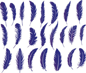 Feathers vector design eps file