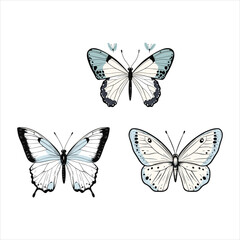 Obraz premium A butterfly silhouette and flower on a white background with a butterfly on it