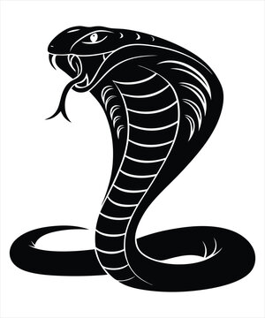 Snake silhouette vector illustration