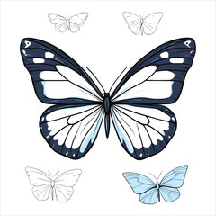 A butterfly silhouette and flower on a white background with a butterfly on it