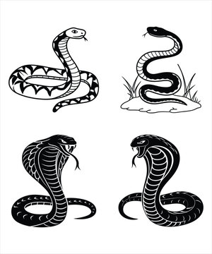 Snake silhouette vector illustration