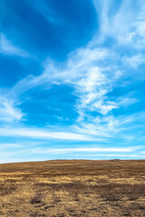 Fototapeta premium Expansive landscape with blue sky and wispy clouds over golden grasslands in daytime