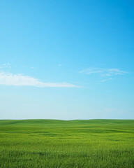 Obraz premium Vast green fields under a bright blue sky showcasing natural beauty and tranquility