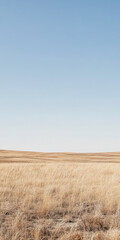 Obraz premium Vast open plain under bright blue sky with golden grassland stretching to the horizon