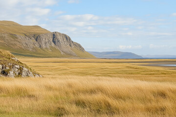 Fototapeta premium Expansive golden grasslands under a clear sky near rugged mountains in a serene landscape