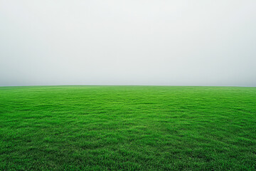 Obraz premium Lush green field under a cloudy sky creates a tranquil atmosphere in early morning light