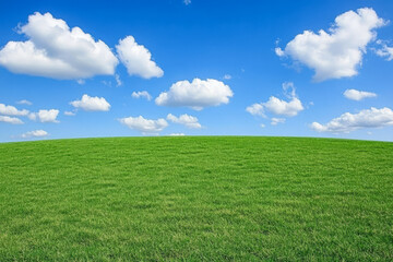 Fototapeta premium Expansive green field under a bright blue sky with fluffy clouds on a sunny day