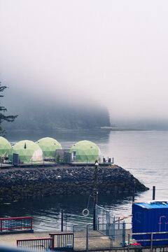 A foggy morning in a Pacific Ocean bay with a forest in the background and a glamping site