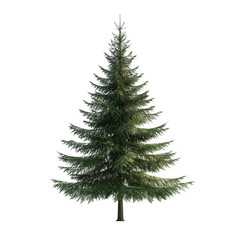 Obraz premium A realistic depiction of a green pine tree, suitable for use in digital designs or environmental illustrations.