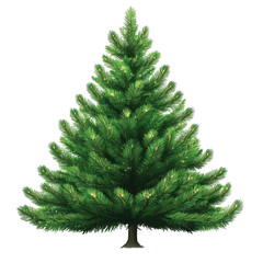 A green Christmas tree illustration, symbolizing holiday celebrations and festive decor.