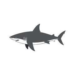 Obraz premium Flat illustration of a shark with long streamlined body, sharp fins, curved shape, minimalistic design, clean background