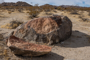 Colorado Desert section of the Sonoran Desert. Pinto Basin Rd, Joshua Tree National Park...