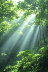 Obraz premium Sunlight filtering through lush green forest trees.