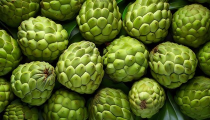 Fototapeta premium Flat Lay Top View of Bright Ripe Fragrant Green Cherimoya Fruit as Background