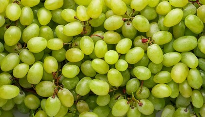 Flat Lay Top View of Bright Ripe Fragrant Green Grape Fruit as Background