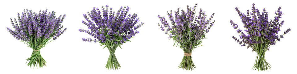 Obraz premium A collection of lavender bouquets, showcasing various arrangements and vibrant purple hues.