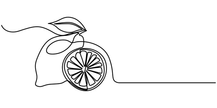 recommend clip art: Continuous single one line drawing of lemon lime fresh summer fruit vector illustration, Abstract shaped lemon . single line lemon icon, Continuous line drawing citrus fruit. Healthy food natural.