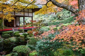 秋の京都 大原三千院