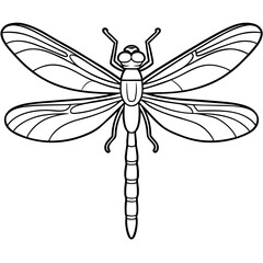 Fototapeta premium dragonfly on white background