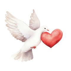 Fototapeta premium A white dove gracefully carries a vibrant red heart, symbolizing love and peace, white background, transparent background.
