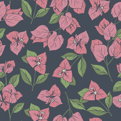 Hand drawn bougainvillea flowers background