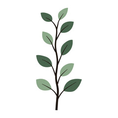 Fototapeta premium Aesthetic Leaves