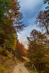 Trekking day in a snowy autumn in the Dolomiti Friulane, Friuli-Venezia Giulia