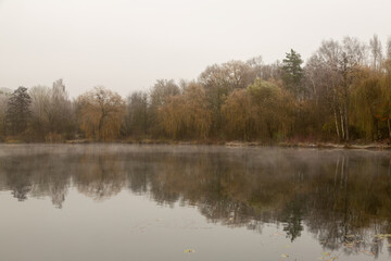 Fototapeta premium Panorama on the Grube Fernie on a cold, foggy and grey morning in Autumn 2024, Großen-Linden, Hessia, Germany