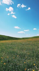 A vibrant meadow filled with wildflowers under a clear blue sky.