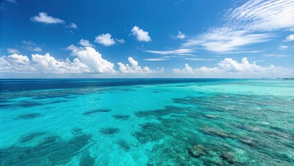 oceanic blue background with turquoise accents, aquatic colors, coral reef
