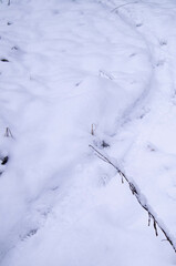 Close-up of pristine snow-covered ground with subtle indentations and scattered branches in a peaceful winter setting