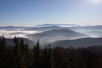 Fototapeta premium Widok na Tatry z wieży widokowej na Mogielicy. Najwyższy szczyt Beskidu Wyspowego. Beskid Wyspowy. Mogielica. Korona Gór Polski.