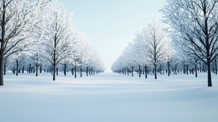 Obraz premium Serene Winter Landscape with Snow-Covered Trees and Clear Sky