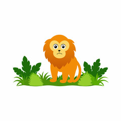 Obraz premium a golden lion tamarin in a jungle