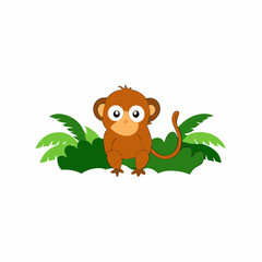 Obraz premium a pygmy marmoset in a jungle