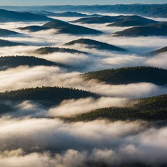 Obraz premium A cloud inversion blanketing a valley.