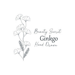 Vector illustration of Ginkgo biloba flower and branch frame.