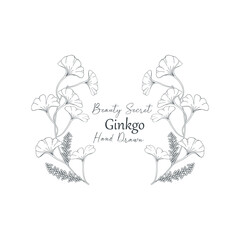 Vector illustration of Ginkgo biloba flower and branch frame.